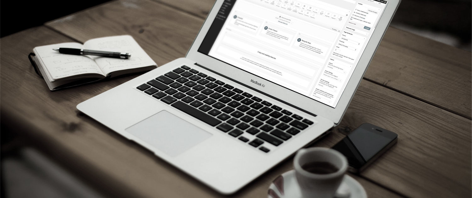 Business professional using laptop for IT management