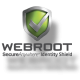 Webroot SecureAnywhere Antivirus Product - Houston TechSys